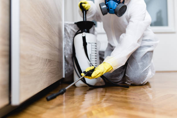 Best Termite Control Services  in Manorville, NY
