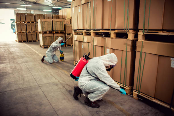 Professional Pest Control in Manorville, NY