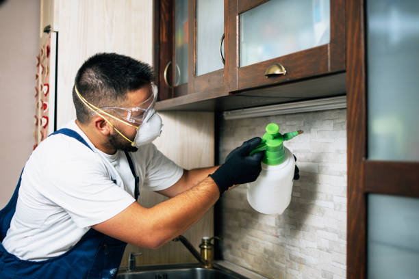 Best Flea Control Services  in Manorville, NY