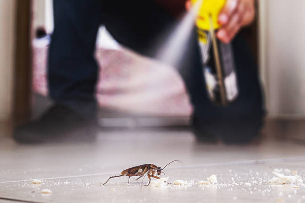 Best Best Pest Control Companies  in Manorville, NY