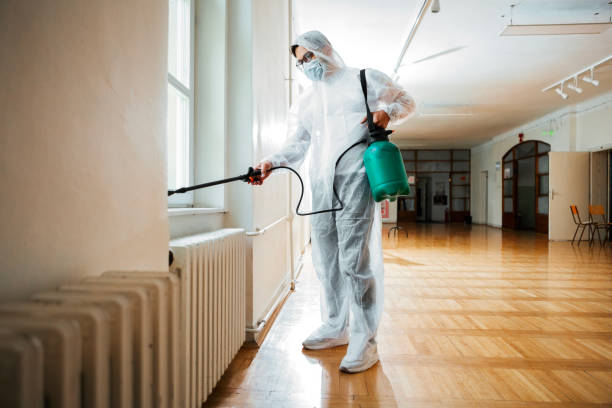 Best Wildlife Control Services  in Manorville, NY