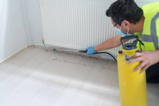 Best Commercial Pest Control Services  in Manorville, NY